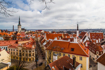 Uliczka w Tallinie © fotozen