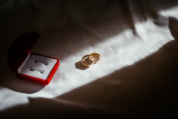 Two wedding rings in infinity sign. Love concept.