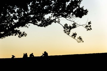 people sitting on wall silhouette