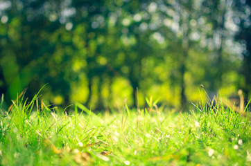 Abstract natural backgrounds