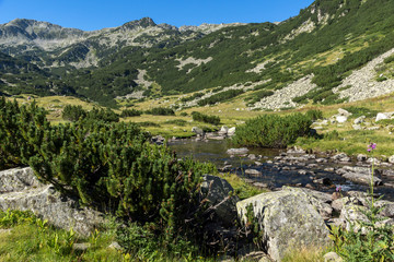 Fototapeta na wymiar Amazing landscape of Banderitsa river, Pirin Mountain, Bulgaria