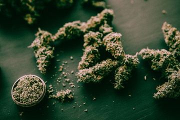 Macro of marijuana with trichomes and crushed weed in a grinder moody green tone