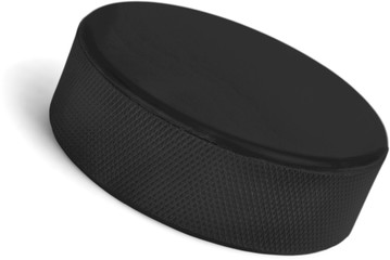 Hockey Puck