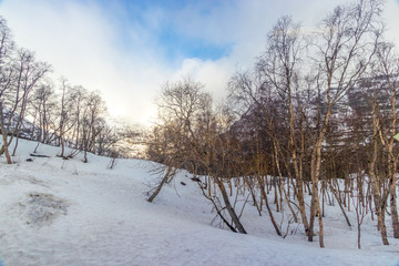 Fototapeta premium Norwegian fjord