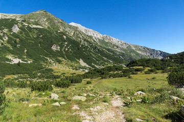 Fototapeta na wymiar Landscape with Hvoynati and Vihren Peak, Pirin Mountain, Bulgaria