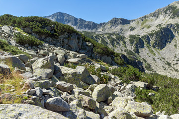 Fototapeta na wymiar Landscape with Banderishki Chukar Peak, Pirin Mountain, Bulgaria