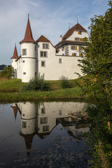 Fototapeta na wymiar Wasserschloss Wyher - Wo Momente Geschichte schreiben...
