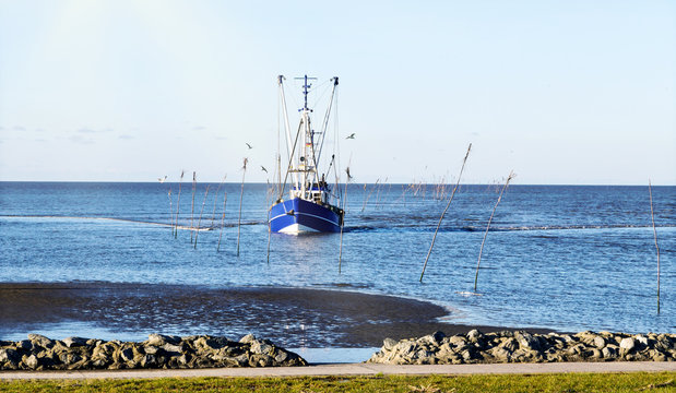 Krabbenkutter auf der Heimfahrt  in den Kutterhafen von Dorum an der Wurster Nordseeküste, Norddeutschland