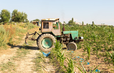 Naklejka premium old small tractor in the Portuguese field