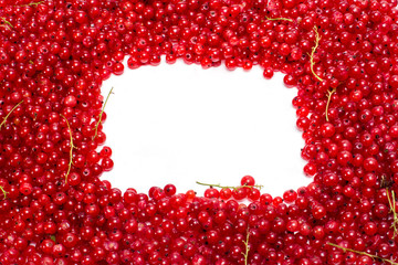 Fresh redcurrant background with white copy space in center. Isolated