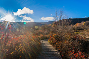 Graveyard Fields 3