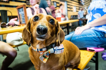 Weenie 2