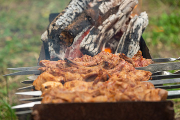barbecue in nature on fire