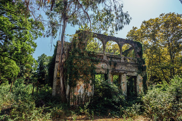 Old overgrown by trees ruined abandoned mansion