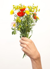 bright wild flowers in a person's hand