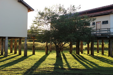 The houses of pantanal