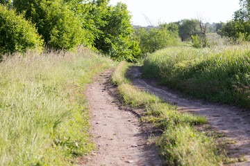 Fototapeta na wymiar spring, rural road along the edges of fields of dense green grass