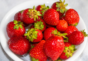 Local Strawberries in a bowl