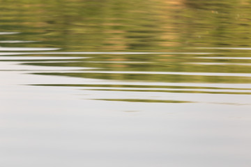 background water on the lake