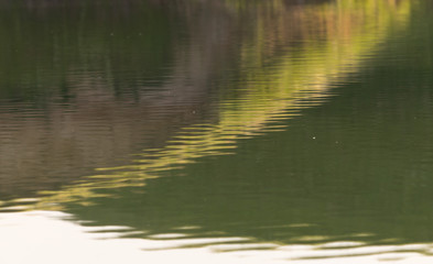small lake with reflections