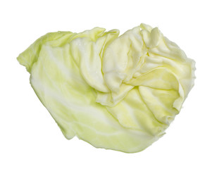 cabbage leaves on white background