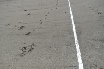 野球場