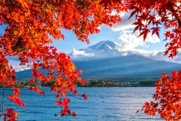 Gordijnen Kleurrijk herfstseizoen en berg Fuji © f11photo