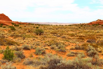 Beautiful landscape in natural colors at Arches National Park in Utah, USA