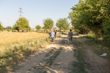 Obraz premium people with cattle in the field