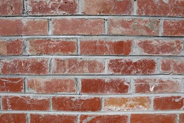 Naklejka premium Old Red Brick Wall 