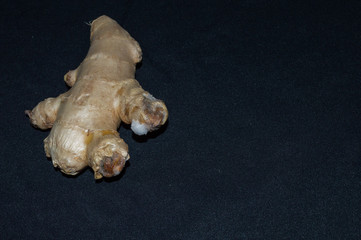 large piece of spoiled ginger food with mold