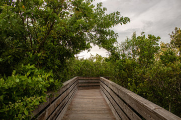 Fototapeta premium On the boardwalk