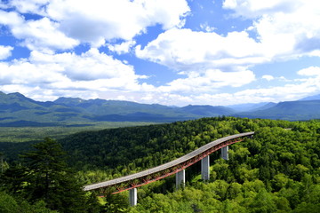 大樹海の鉄橋