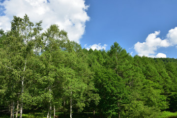 奥蓼科高原　御射鹿池