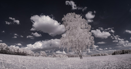 infrared photography - ir photo of landscape with tree under sky with clouds - the art of our world...