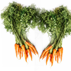 Zanahorias frescas