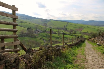 Countryside view over green fields with fencing down a public footpath