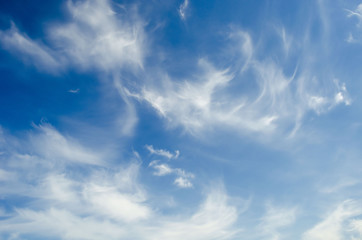 Fototapeta premium Blue sky with soft clouds