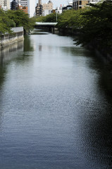 Naklejka premium 川面