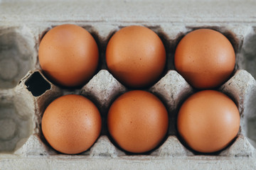 Egg on White Background