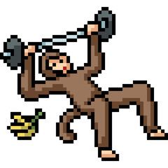 Obraz premium vector pixel art fitness ape