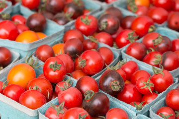  tomato from garden