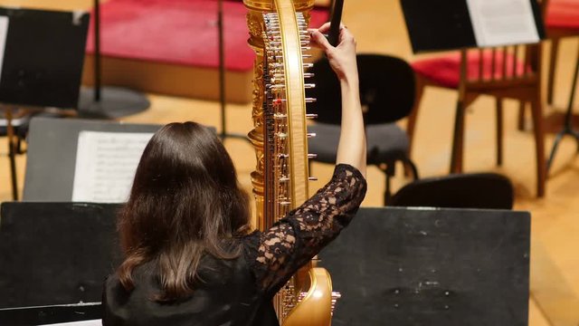Rear view of young female musician tuning the harp before symphony concert