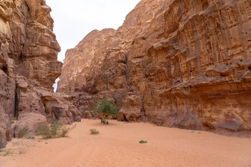 Canyon in Wadi Rum desert, Jordan © arkady_z