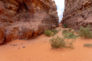 Canyon in Wadi Rum desert, Jordan © arkady_z