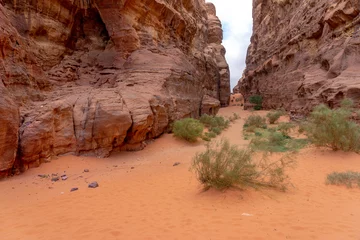 Fototapeten Wüste Canyon in Wadi Rum desert, Jordan  © arkady_z