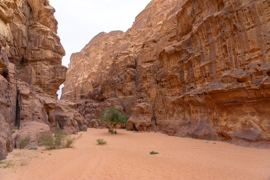 Canyon in Wadi Rum desert, Jordan