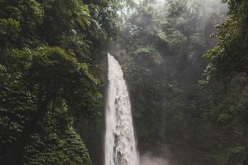 Fototapeta premium Nung-Nung Bali waterfall