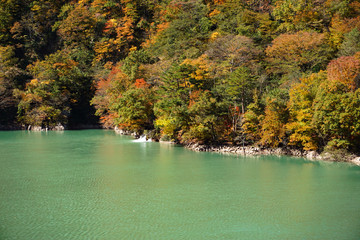 Autumn of Shogawa river in Toyama, Japan. 庄川の秋　紅葉シーズン　日本富山県南砺市　合掌大橋周辺　世界遺産五箇山周辺