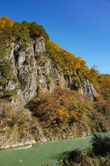 Autumn of Shogawa river in Toyama, Japan. 庄川の秋　紅葉シーズン　日本富山県南砺市　世界遺産五箇山周辺